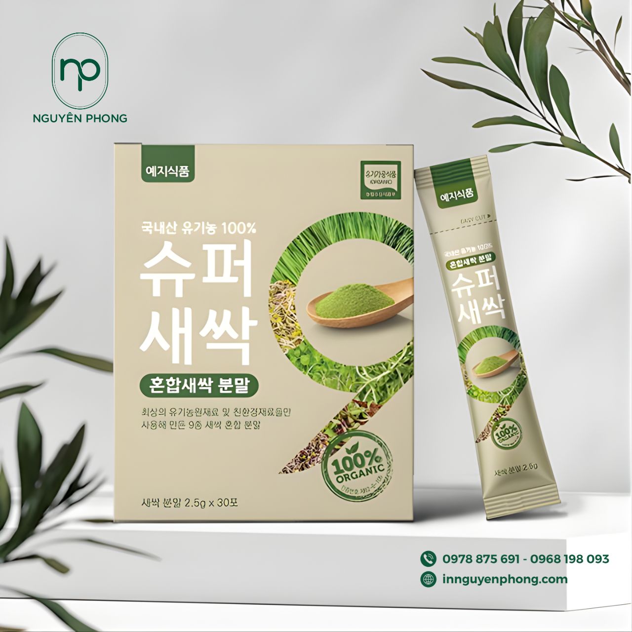 Mẫu hộp giấy đựng matcha đóng gói pha sẵn